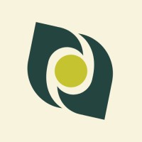 YourVisio Media logo